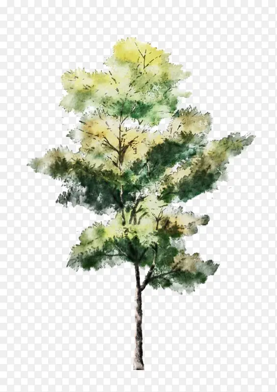 �滭 ˮ�ʻ� ��ľ-������