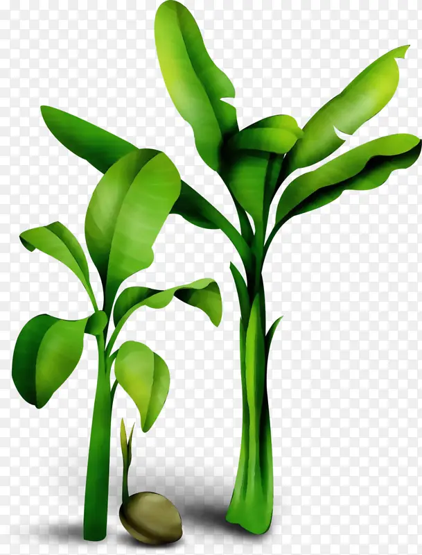 ˮ�ʻ� ���� ʪī-������