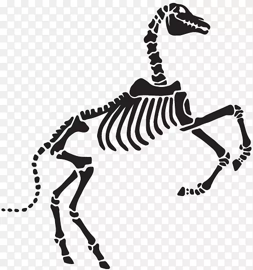 ����������Ұ����������-������