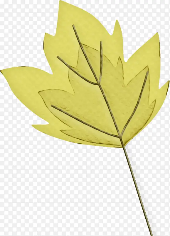 ˮ�ʻ� ���� ʪī-������