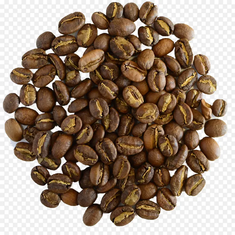 �������ɽ���� ��� ����-������