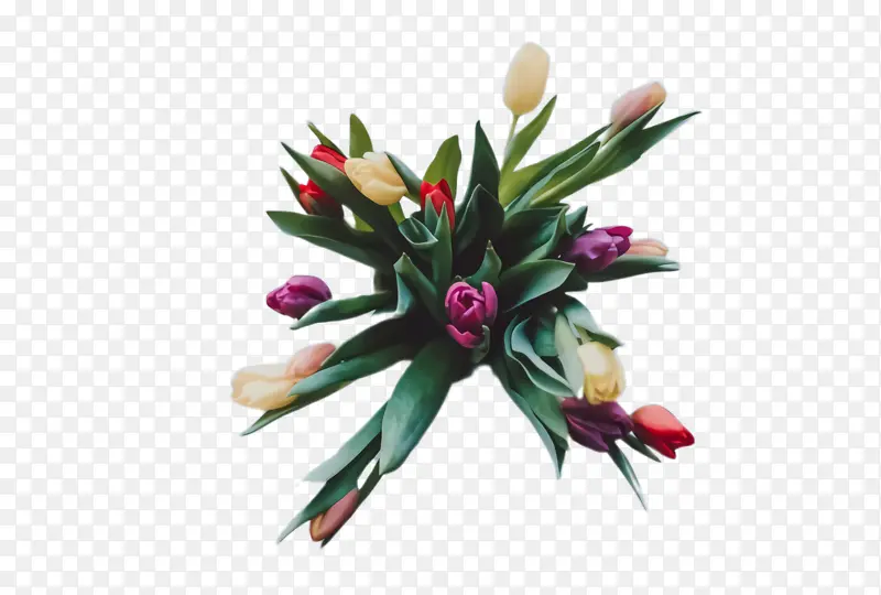 ������ �� ֲ��-������