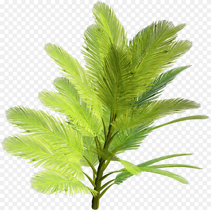 ��ľ ֲ�� ��ľ-������