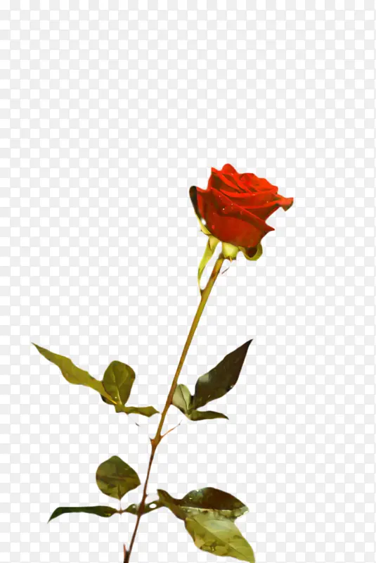 õ�� ���� ��-������