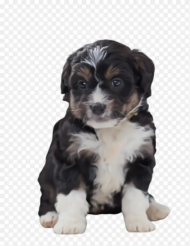 �ɰ��Ĺ� ���� ����-������