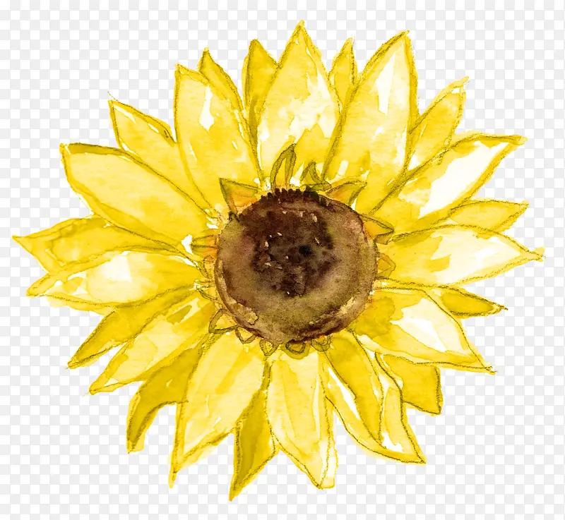 �����Ӱ ��Ӱ ��˰���-������