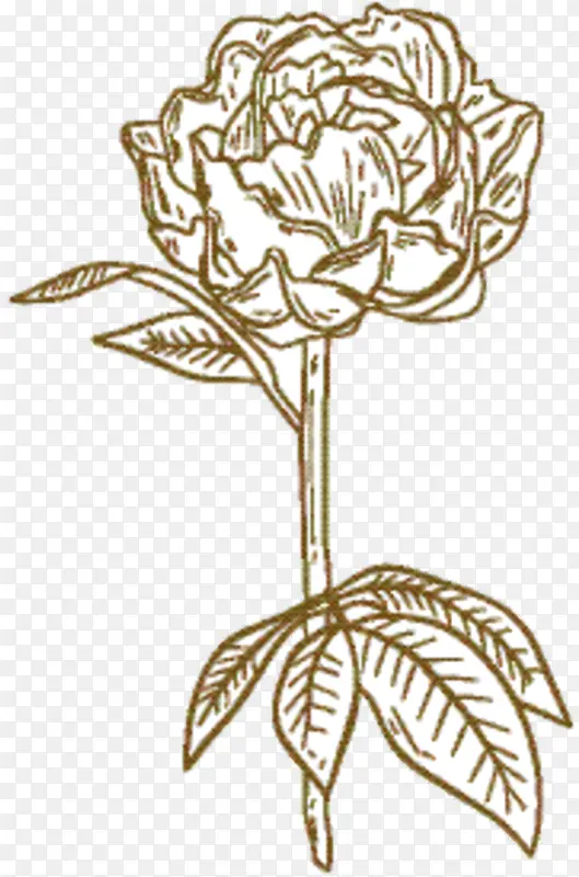 ������� õ�� �л�-������