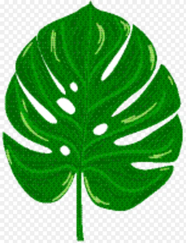 Ҷ�� �� ��ɫ-������