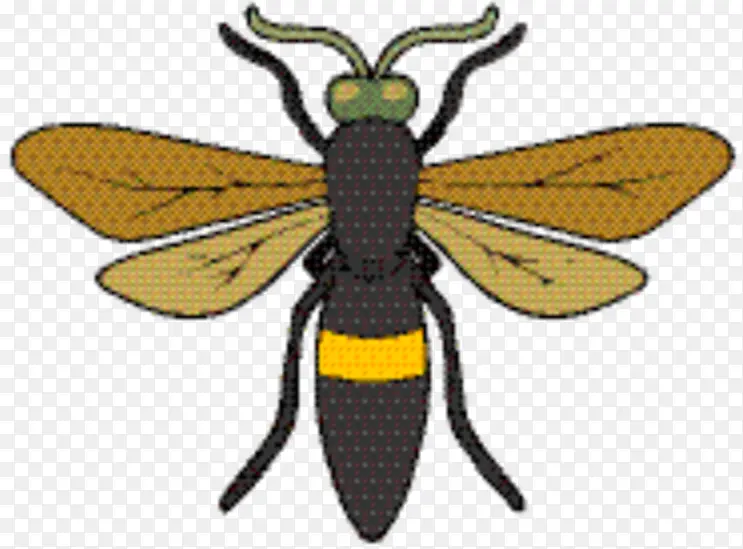 �۷� ���� ��ɫ-������