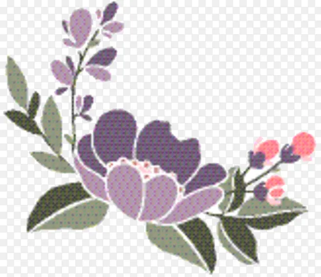 ������� õ��� õ��-������