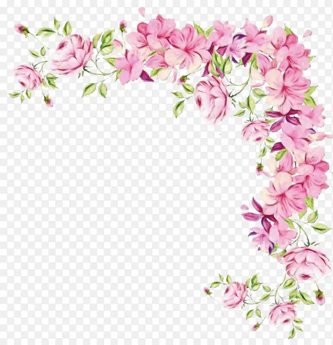 ˮ�ʻ� ���� ʪī-������