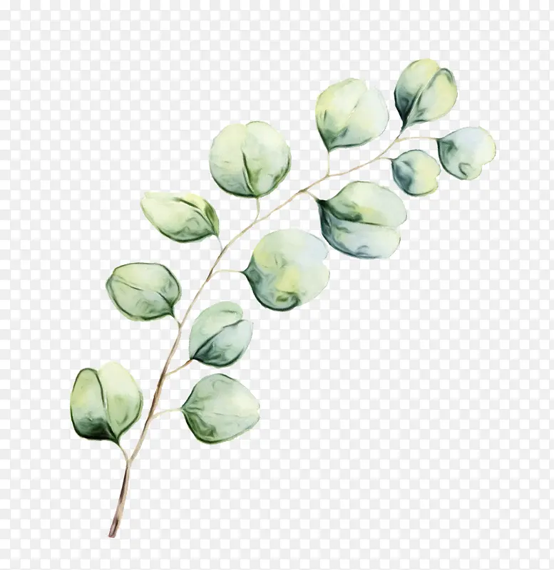 ˮ�� ���� ʪī-������