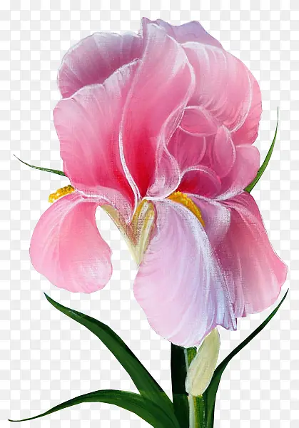 ���� ��԰õ�� �β��-������