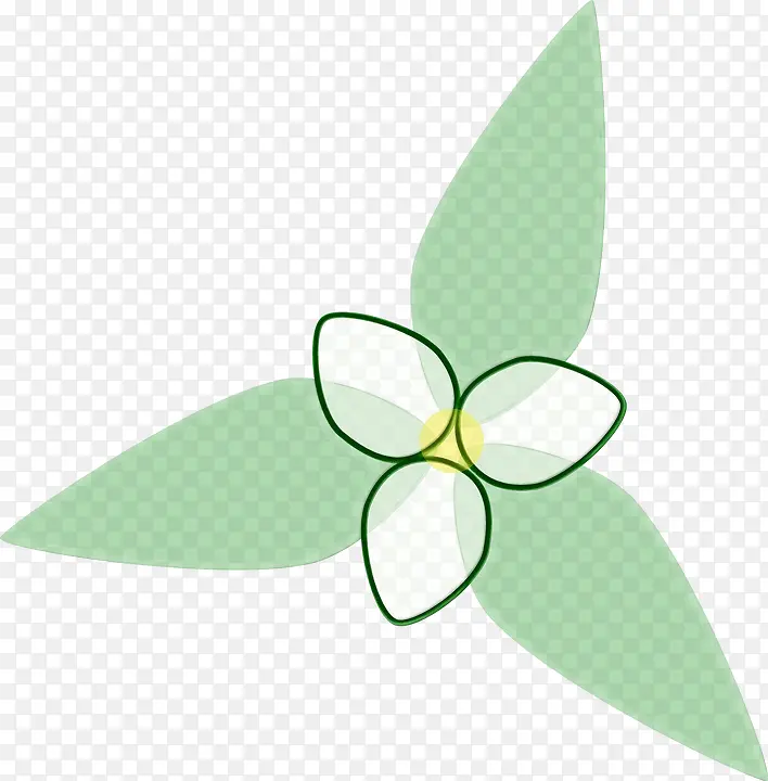 ˮ�ʻ� ���� ʪī-������