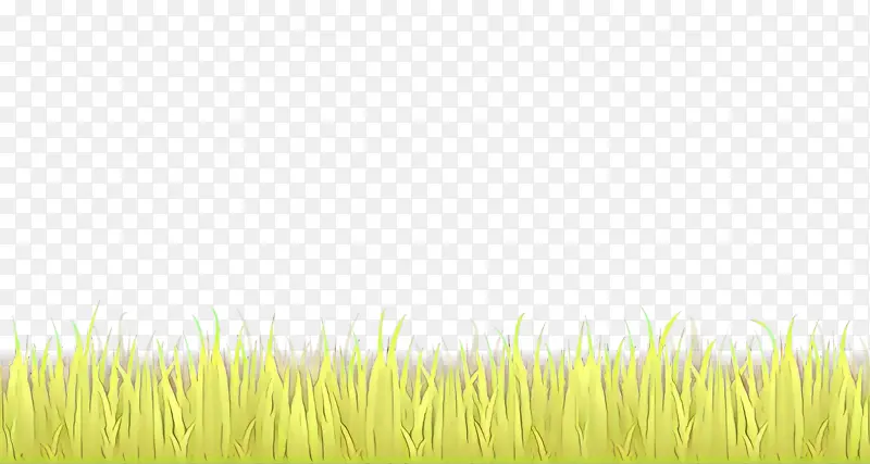 ��ͨ �ݵ� ��-������