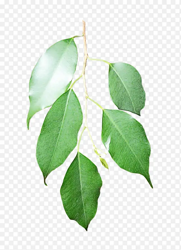 ˮ�ʻ� ���� ʪīˮ-������