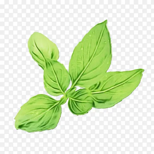 ˮ�ʻ� ���� ʪī-������