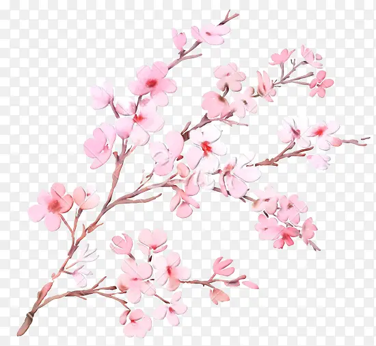 ˮ�ʻ� ���� ʪī-������