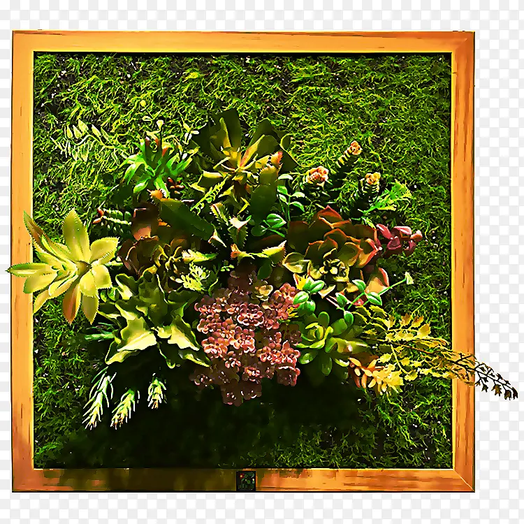 ��ˮˮ��� ��Ҷ ˮ��ֲ��-������