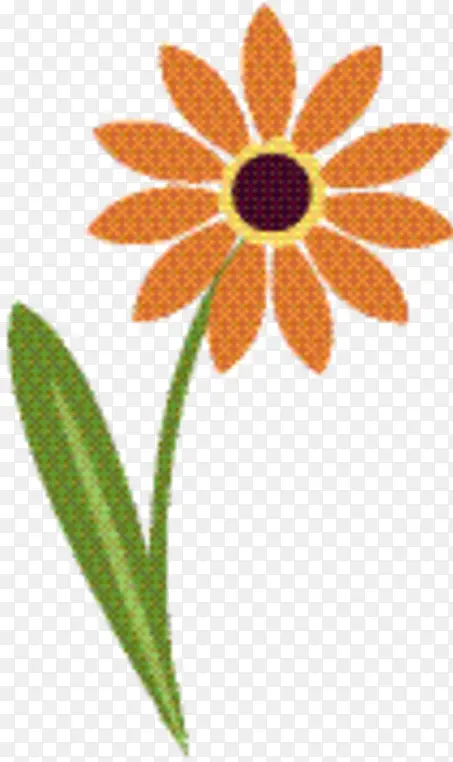 ���ߵ���Ʒɻ� �ܵ����� ��������Ŀγ�-������