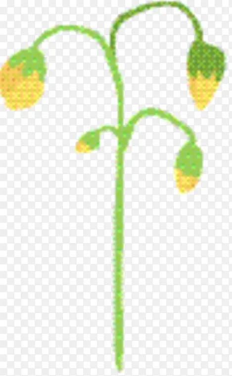 ��֦ ֲ�ﾥ ����ֲ��-������