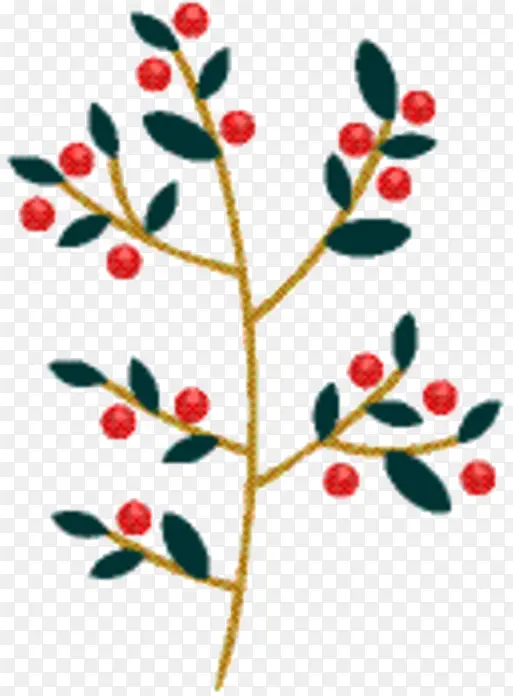 ֲ�ﾥ ����ֲ�� ��֦-������