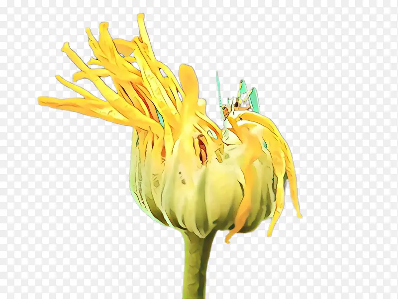 ��ͨ �ѹ�Ӣ �л�-������