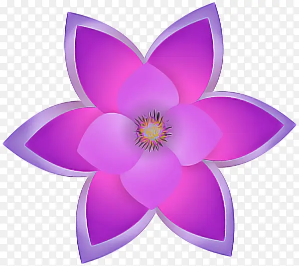 ����ֲ�� ֲ�� ����-������