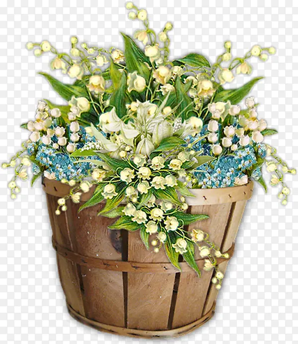 ������� ���Ĳ��� ����-������