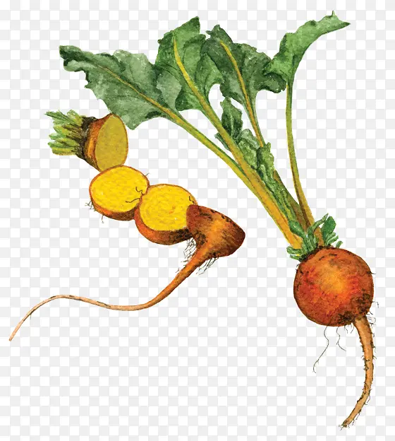 �ܲ� ��˸� �߲�-������