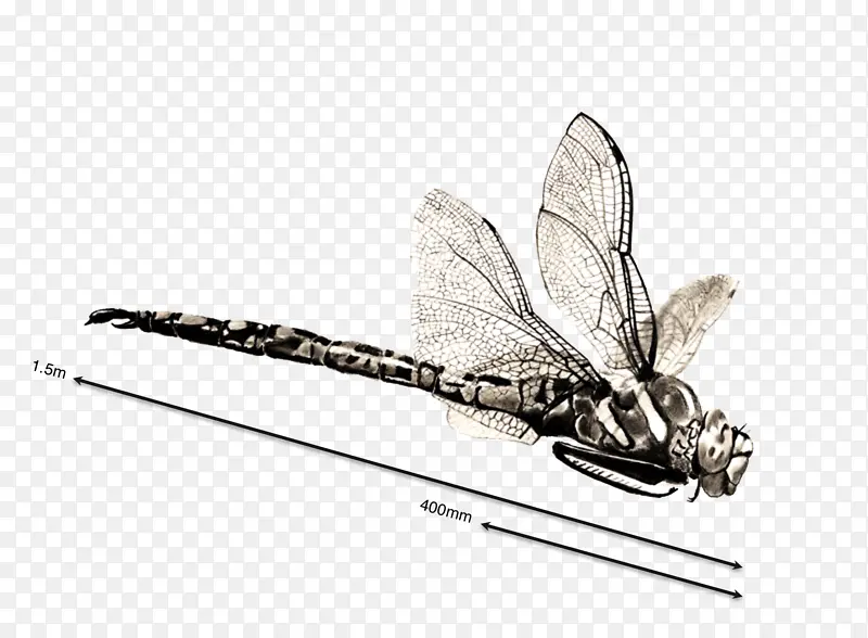 �滭 ���� ����-������