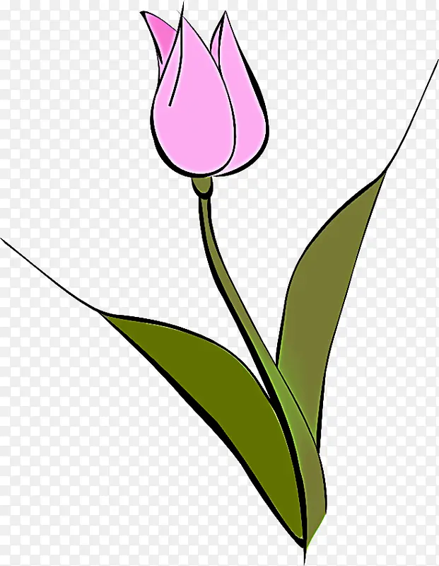 ������ �л� ֲ�ﾥ-������