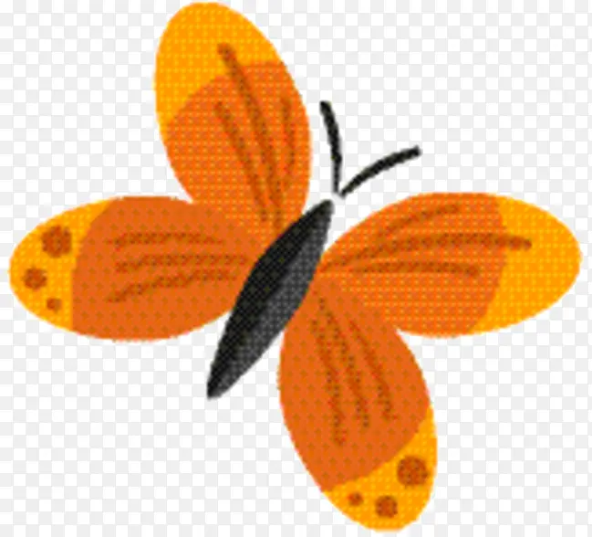 ���� Ĥ ����-������