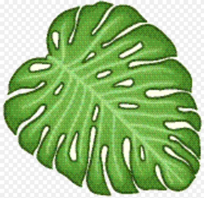 �߲� Ҷ�� ��-������