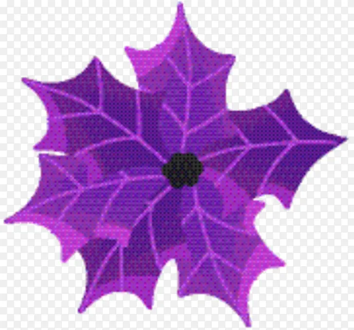 Ҷ�� ����ֲ�� �Գ�-������