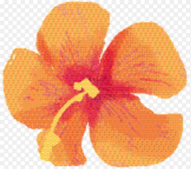 õ���� ���� ����-������