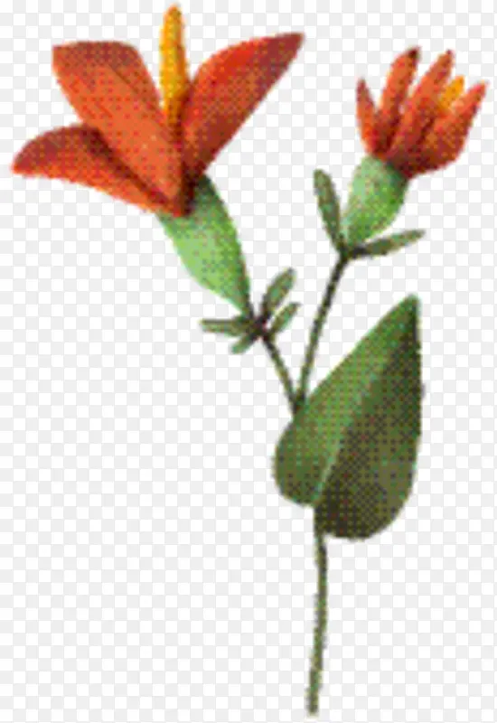 �� ֲ�ﾥ �ݱ�ֲ��-������