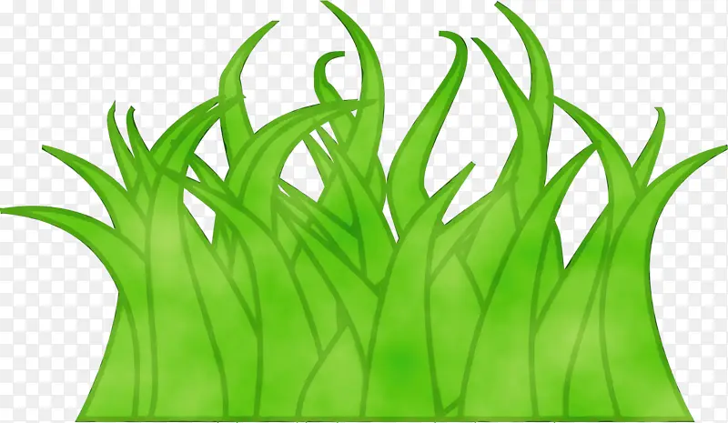 ˮ�ʻ� ���� ʪī-������