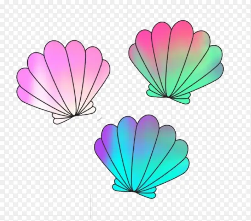 ��ֽ ���� ���ո���ֽ-������