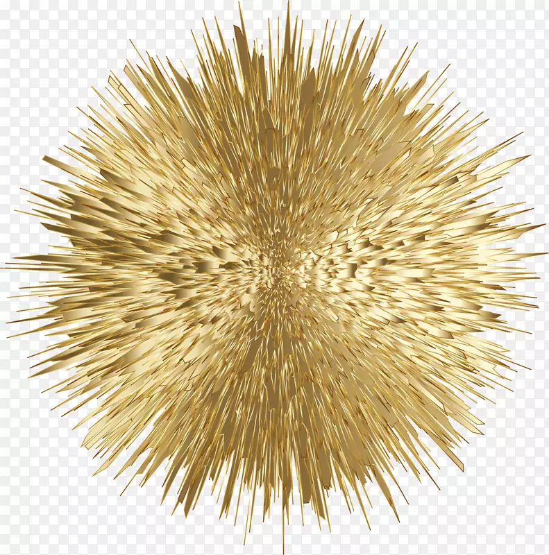 Adobe�̻���������-�̻�����-������