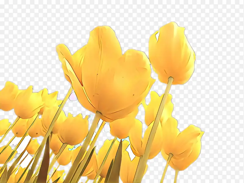 ��ͨ ������ �����ֽ-������