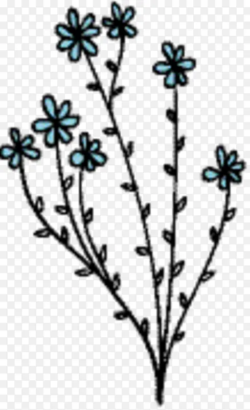 С֦ �л� ֲ�ﾥ-������