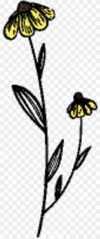 ���� ֲ�ﾥ ����ֲ��-������