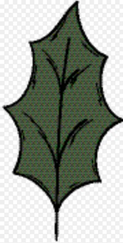 �Գ� Ҷ ��-������