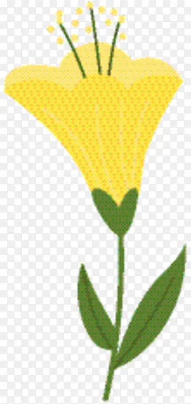 ���� ֲ�ﾥ ��ɫ-������