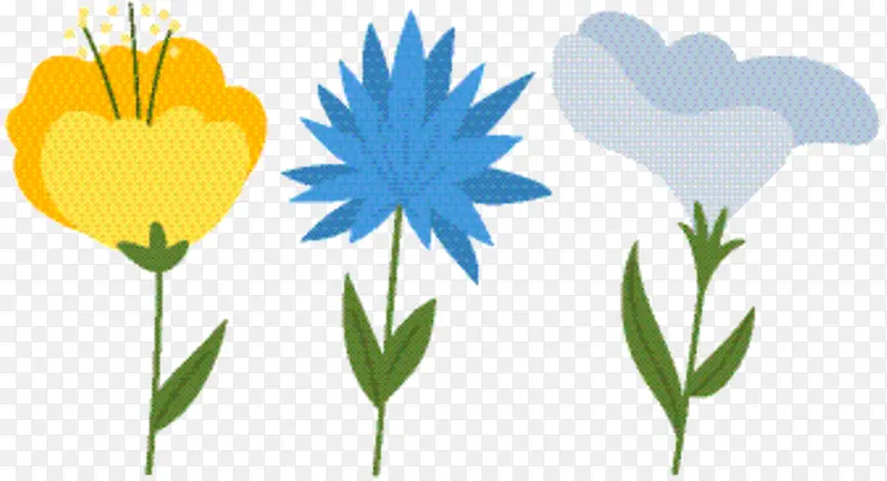 �����ֽ Ұ�� ֲ�ﾥ-������