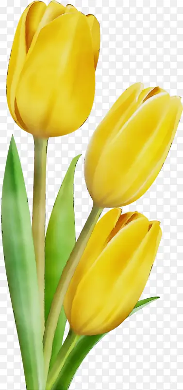 ˮ�� ���� ʪī-������