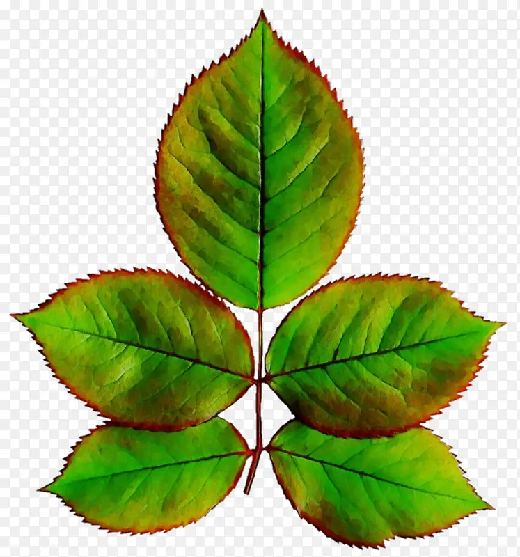 ˮ�� ���� ʪī-������