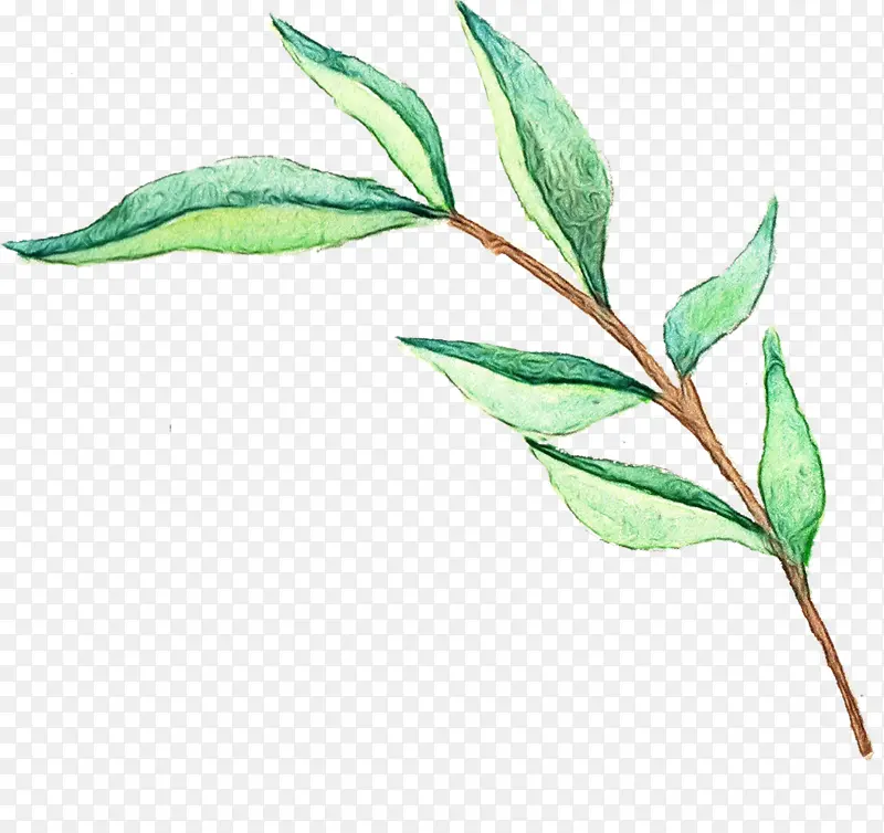 ˮ�ʻ� ���� ʪī-������