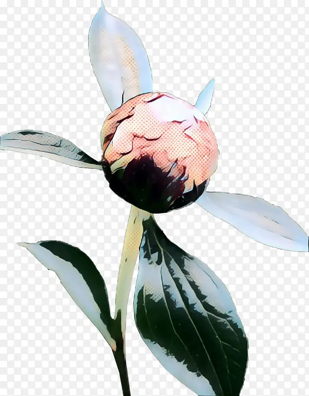 �������� ���� ����ֲ��-������